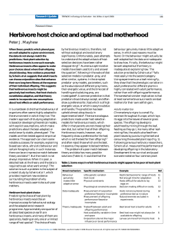 Herbivore host choice and optimal bad