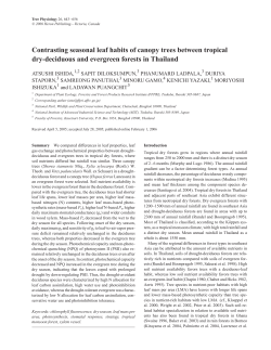 Contrasting seasonal leaf habits of canopy trees between tropical