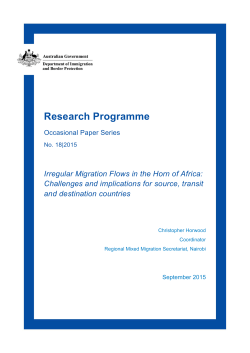 Irregular Migration Flows in the Horn of Africa: Challenges and
