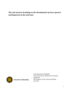 The role of wave breaking on the development of wave spectra and