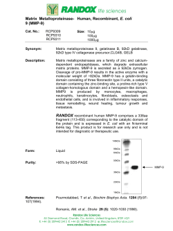 Matrix Metalloproteinase- 9 (MMP
