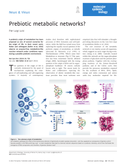 Prebiotic metabolic networks?