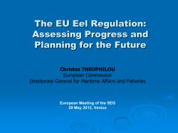 Measures for the recovery of the European Eel stock