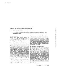HISTOLOGICAL STAINING PROPERTIES OF PROCION YELLOW