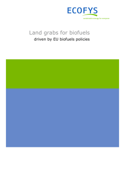 Ecofys 2013 - Land grabbing for biofuels