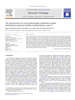 The characteristics of a novel heterotrophic nitrificationв&euro;&ldquo;aerobic