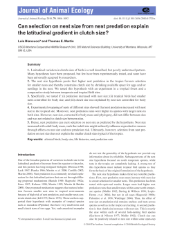 Can selection on nest size from nest predation explain the latitudinal