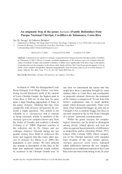 An enigmatic frog of the genus Atelopus (Family Bufonidae) from