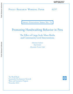 Promoting Handwashing Behavior in Peru: The Effect of