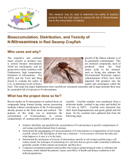 Bioaccumulation, Distribution, and Toxicity of N