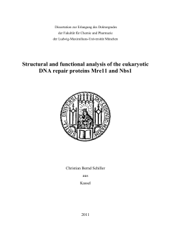 Structural and functional analysis of the eukaryotic DNA repair