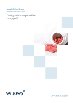 Can I give human painkillers to my pet? (PDF