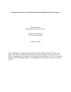 A Bicameral Perspective on the Effects of Racial and Ethnic Diversity