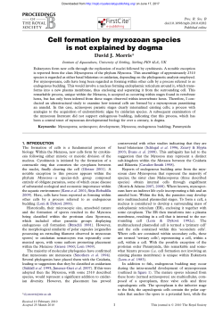 Cell formation by myxozoan species is not explained by dogma