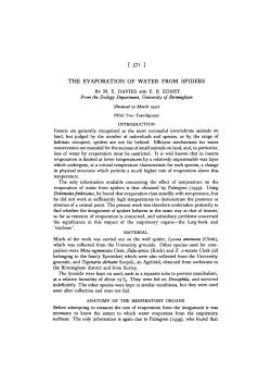 the evaporation of water from spiders
