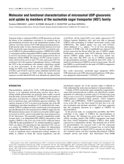 Molecular and functional characterization of microsomal UDP