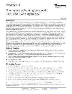 Biotinylate carboxyl groups with EDC and Biotin Hydrazide