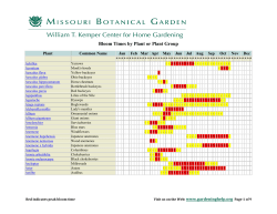 Bloom Times by Plant or Plant Group