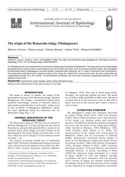 The origin of the Bemaraha tsingy (Madagascar)