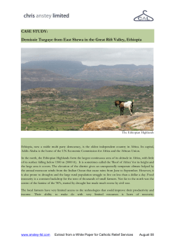 CASE STUDY: Demissie Tsegaye from East Shewa in the Great Rift