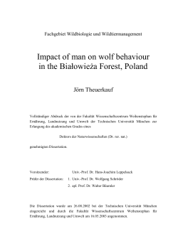 Impact of man on wolf behaviour in the Białowieża