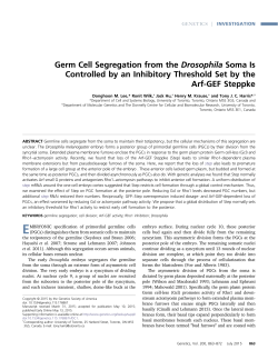 Germ Cell Segregation from the