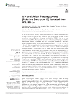 A Novel Avian Paramyxovirus (Putative Serotype 15) Isolated from