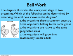 The diagram illustrates the embryonic stage of two organisms