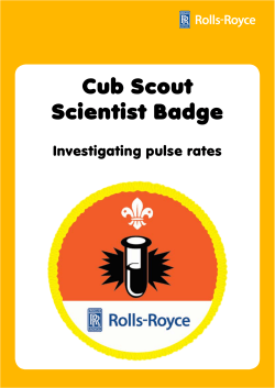 Cub Scout Scientist Badge - Rolls
