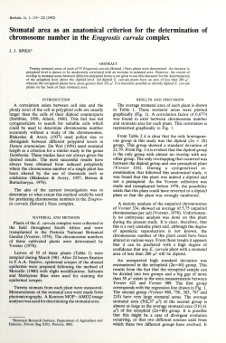 Stomatal area as an anatomical criterion for the