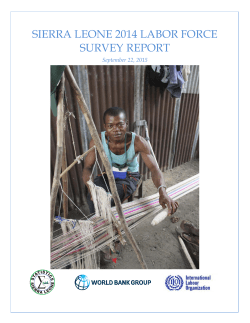sierra leone 2014 labor force survey report