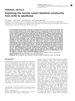 Exploring the bovine rumen bacterial community from birth