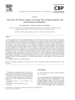 The early life history stages of riverine fish: ecophysiological and