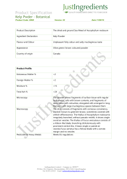 Specification - JustIngredients