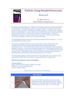 Raavad - Ptil Tekhelet