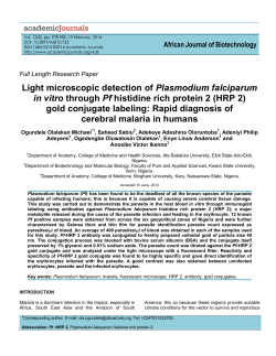 Light microscopic detection of Plasmodium falciparum in vitro