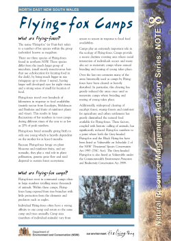 Flying-fox camps - Office of Environment and Heritage