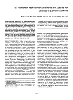 Rat Antikeratin Monoclonal Antibodies are Specific for Stratified