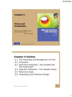 Ch 06 Firms and Production