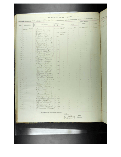 Georgia, Returns of Qualified Voters and Reconstruction Oath Books