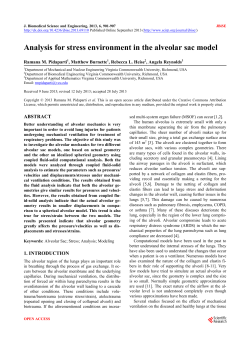 Analysis for stress environment in the alveolar sac model