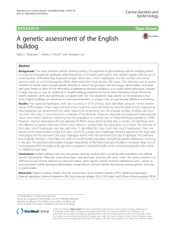 A genetic assessment of the English bulldog