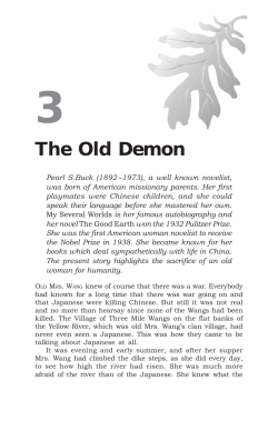 The Old Demon - Meredith Sue Willis