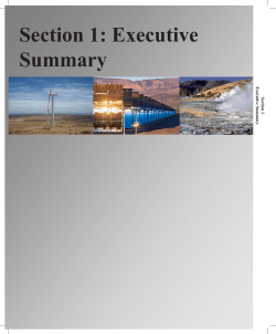 Section 1: Executive Summary Section 1: Executive Summary