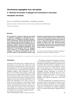 Chromosome segregation from cell hybrids