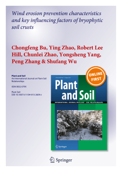 Wind erosion prevention characteristics and key influencing factors