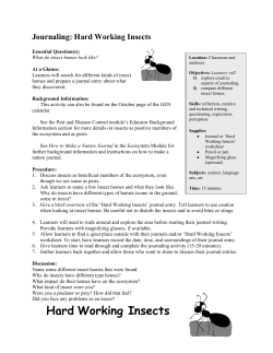 Journaling: Hard Working Insects