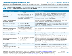 Tenet Employee Benefit Plan: HSP