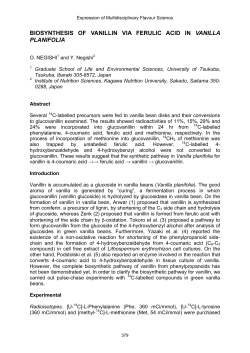 Teil95 - Expression of Multidisciplinary