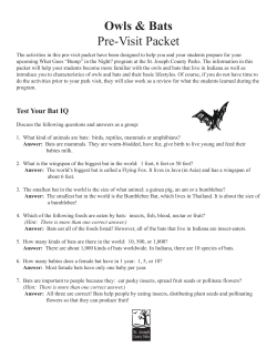 Owls and Bats - St. Joseph County Parks